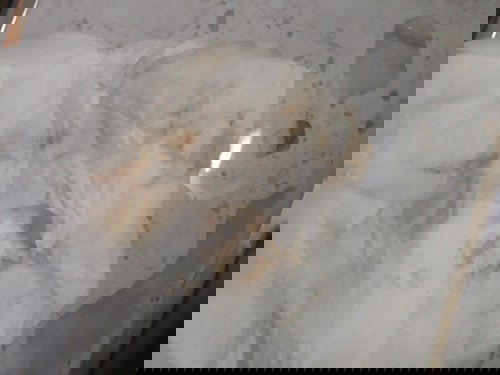 ok lang po ba to?7weeks pregnant