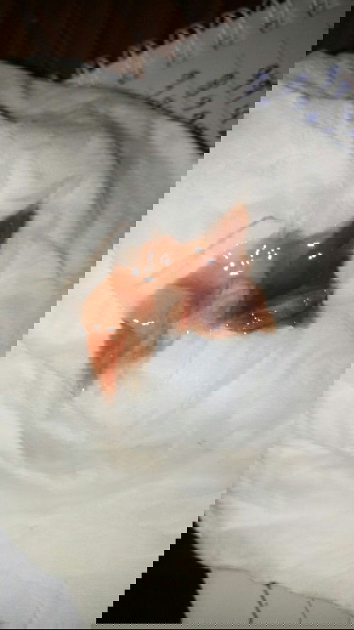 เลยกำหนดคลอด