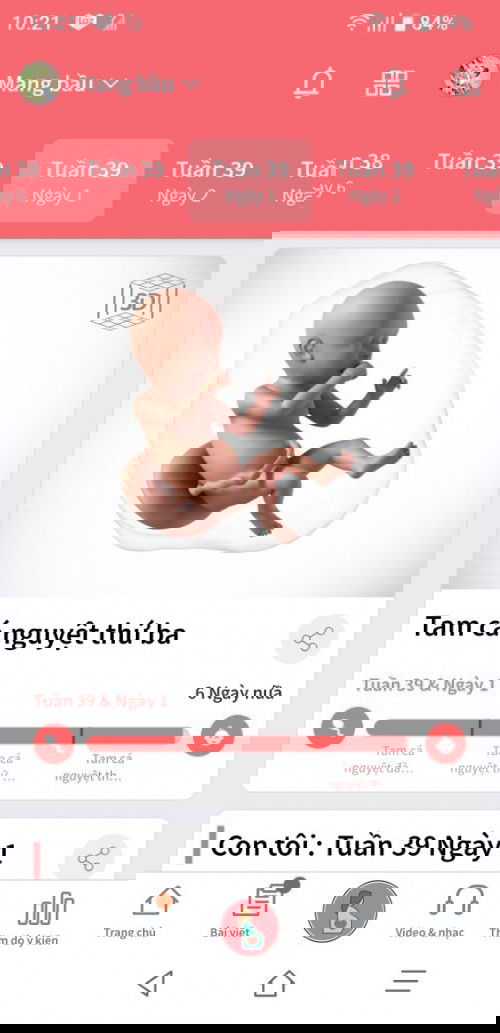 Hóng ngày gặp con