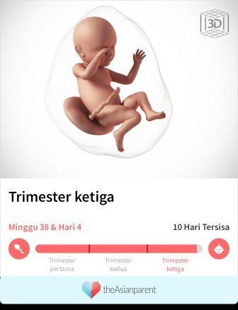 Hpl tinggal 10 hari lagi