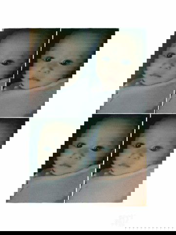 ngk mw sufor/asi 4 bulan