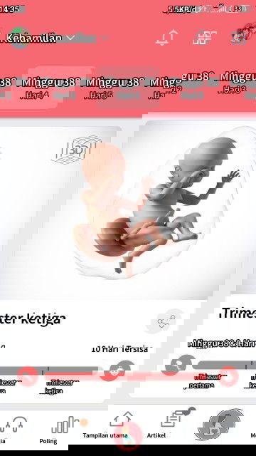 Hpl 30 Agustus 2020 ..