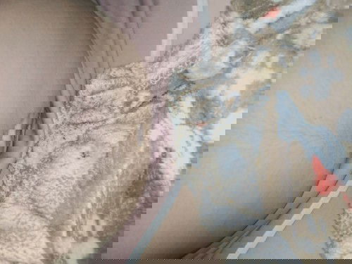 ท้องแรกค่ะ 21สัปดาห์