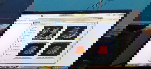 Bonus CD usg halobumil