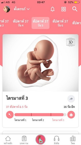 ทีมกันยา