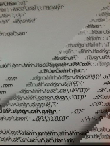 bầu