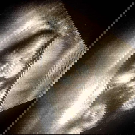 ลูกน้อย