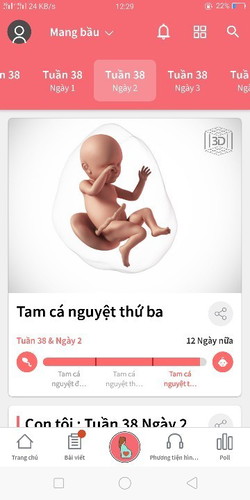 bầu
