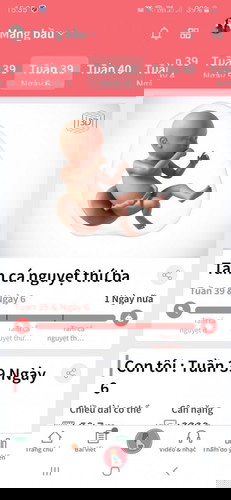39t 6 ngày mà chưa thấy rụt rịt gì hết. Có mom nào như mình không ạ?