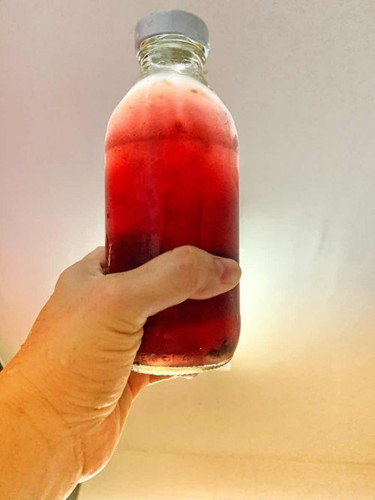 Kombucha F2