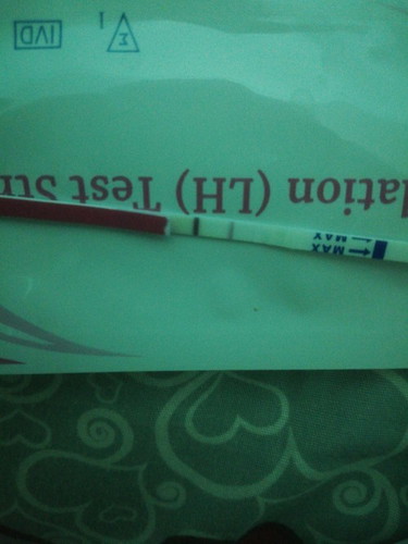 Ttc 1y. Opk sy hampir positif kan