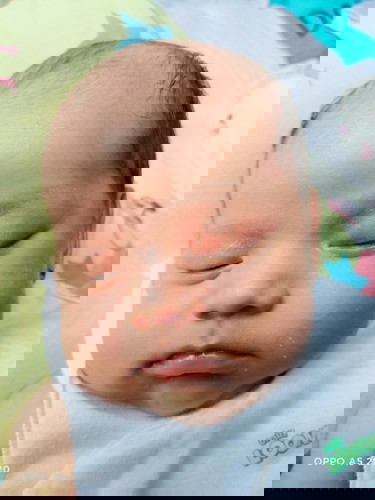 pa help