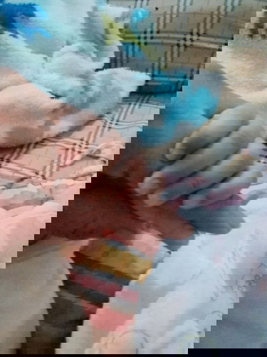 ขอดูมือน้อยๆที่เป็นกำลังใจ