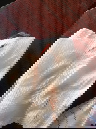 Spotting @ 4 weeks and 3 days