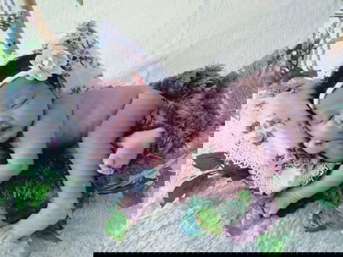 Photoshop Newborn baby Kyara