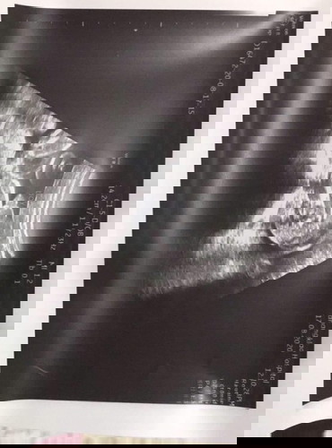 ไอ้ลูกชาย❤️😘😘