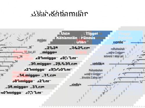 Tinggi fundus emang ngaruh ke bbj ya?
