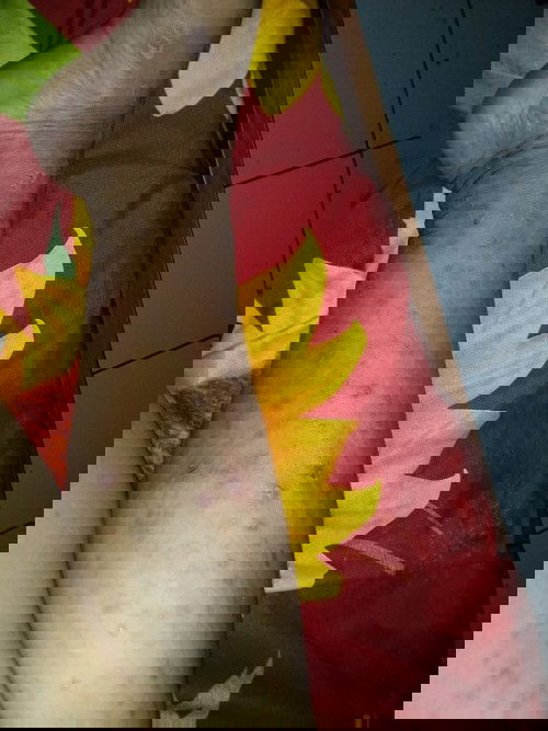 Obat alaminya pakai apa ya