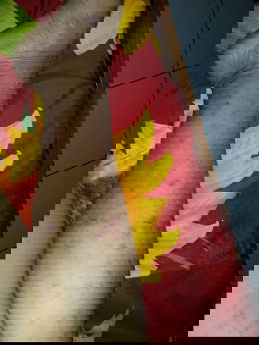 Obat alaminya pakai apa ya