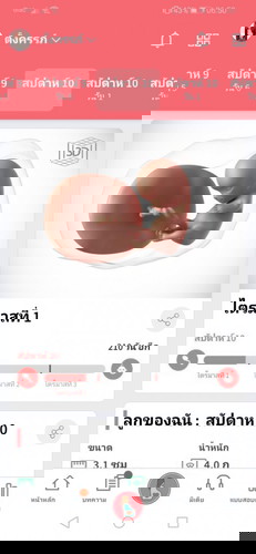 ตอนตั้งท้องช่วง 6/10 w แพ้ท้องน้ำหนักลด