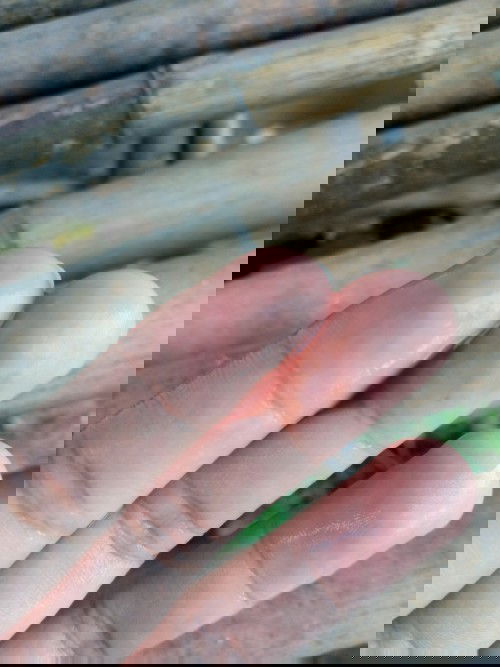 ใช่มูกเลือดมั้ยคะ