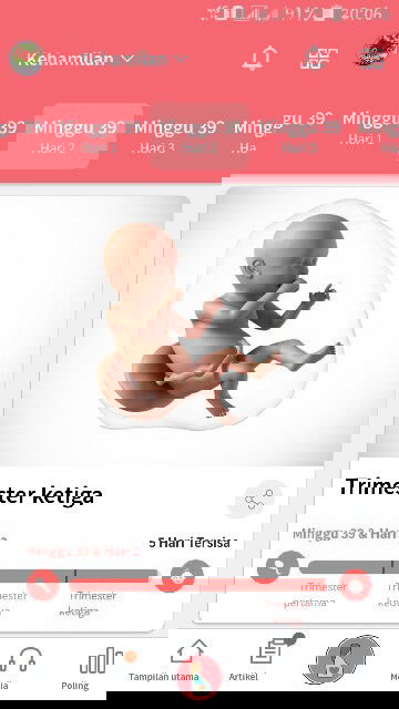 HPL 29 AGUSTUS pengen Makan Nanas