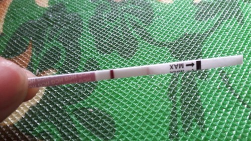 วางแผนจะตั้งครรภ์