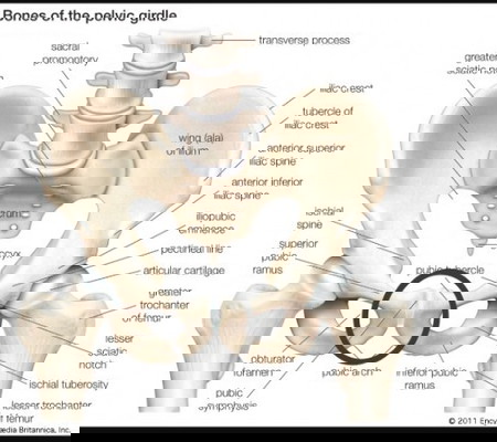 intense pain 32weeks