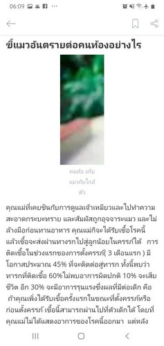 เราเผลอไปเหยียบขี้แมว