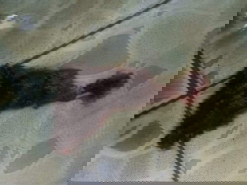 หลังคลอด2อาทิตย์กว่า