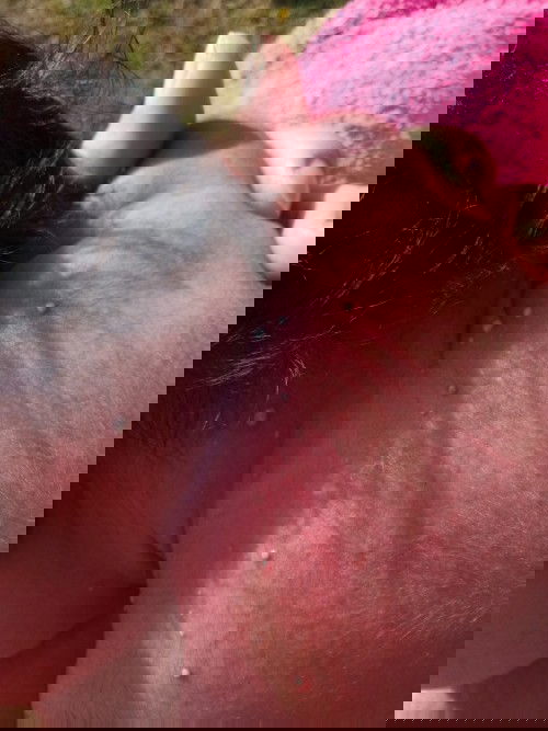 masalah kulit bayi 4hari