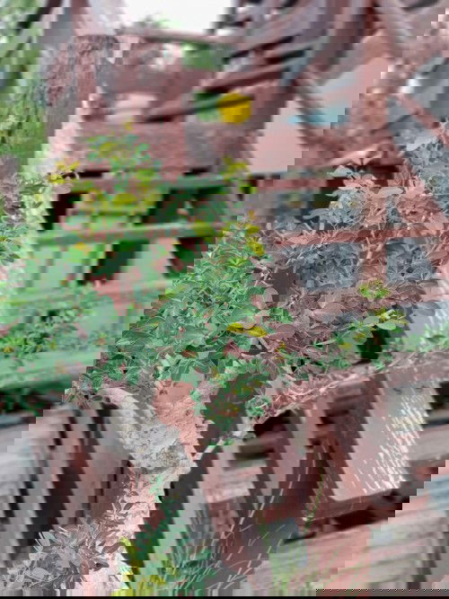 Masih menanti? Bersabar dan amalkan DOA AJAIB!