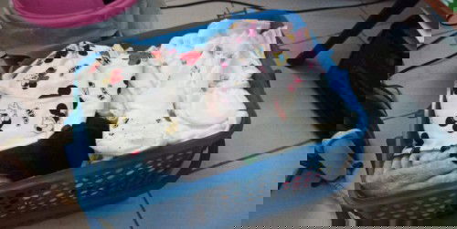 เตรียมคลอดอะไรบ้าง