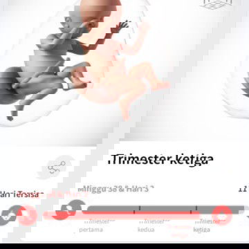 Bun minta doanya yaa supaya dedek cpt lahir