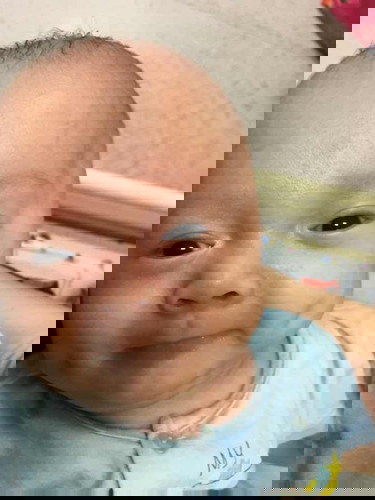 Cuc kim cuong