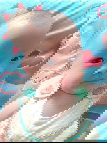 น้องปิ่น