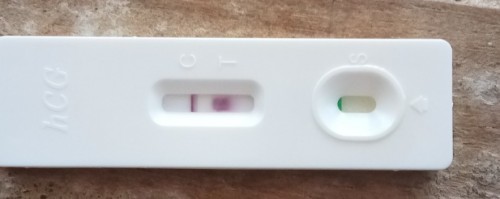 what is the meaning of this