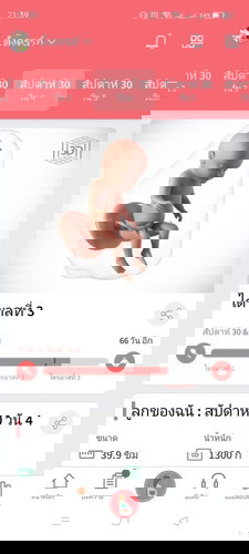 ทีมเดือนตุลา