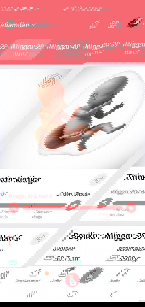 Menanti gelombang cinta