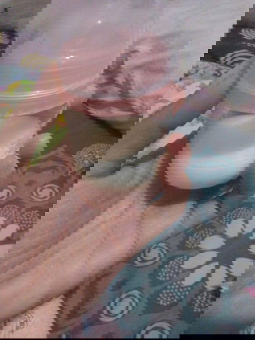 Pompa asi cuma dikit