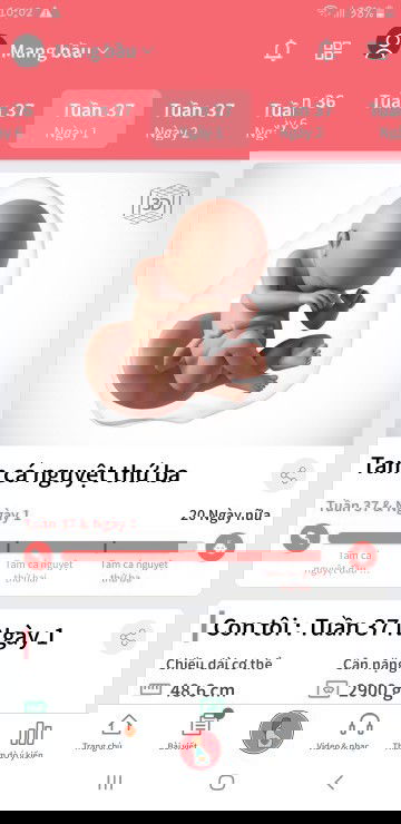 20d điếm ngược