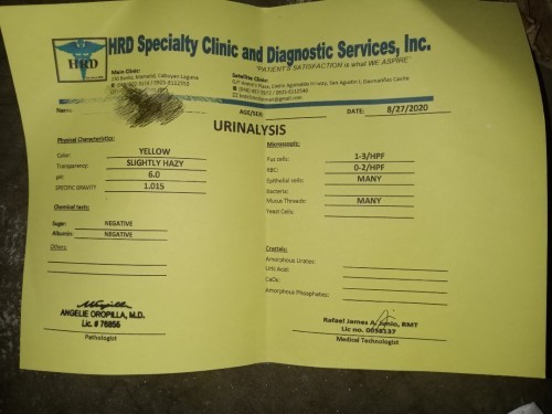 urinalysis