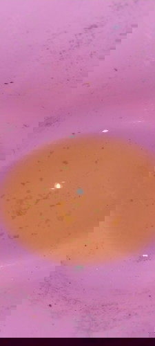 Pee problem