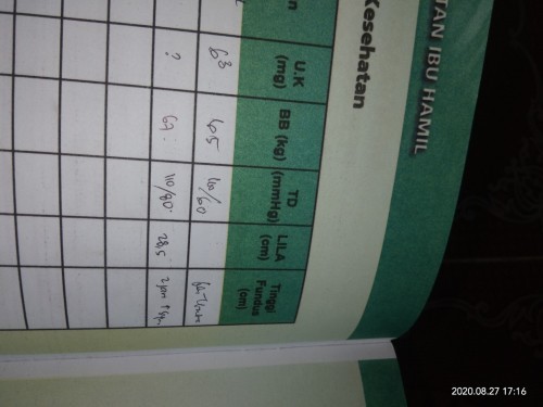 ini maksudna apa ya bun ball+ di tulisan letak janin