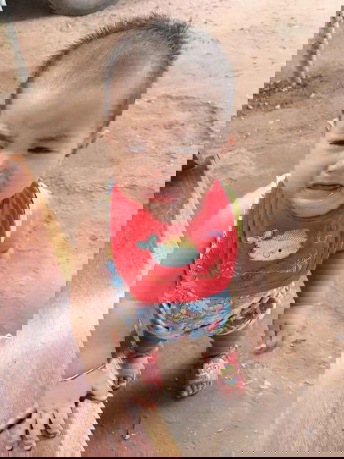 ลูกเดินกี่เดือน