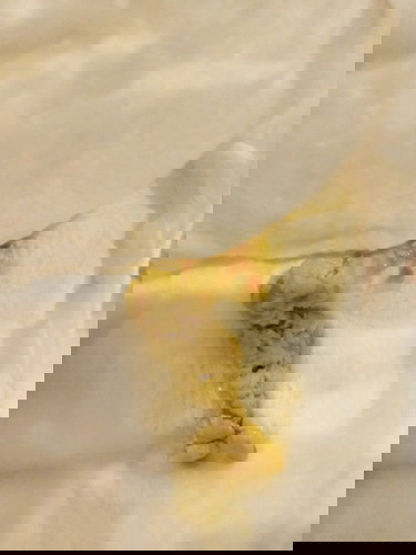 น้องอายุ1เดือน4วัน ทานนมผงตั้งเเต่เเรก น้องมีอาการถ่ายทุกครั้งที่ทานนม