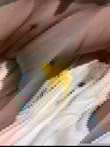 Dugo sa diaper ni baby