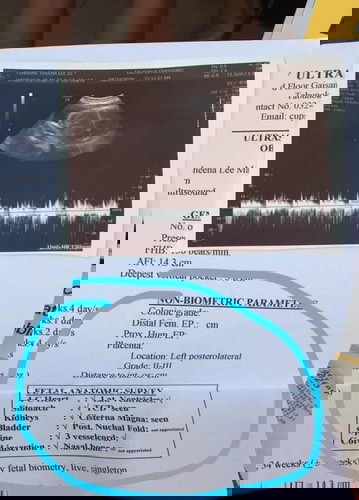 Fetal Anatomic Survey