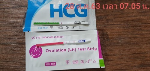 ขอถามเพื่อนๆพี่ๆน้องๆที่มีประสบการณ์หน่อยค่ะ