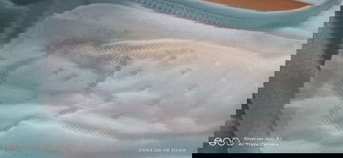 แม่ๆท่านไหนเคยเลือดไหลช่วง2เดือนแรกไหมค่ะ ของเราไหลมาเมื่อวานแบบแค่เปื้อนกระดาษแล้ว